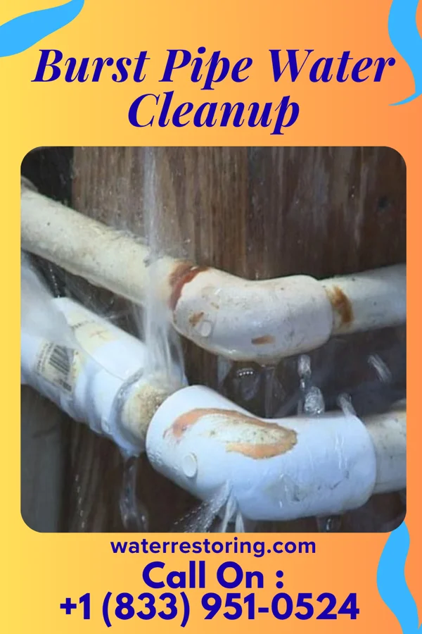 Burst Pipe Water Cleanup in Wormleysburg, PA