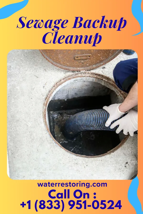 Sewage Backup Cleanup in Wormleysburg, PA