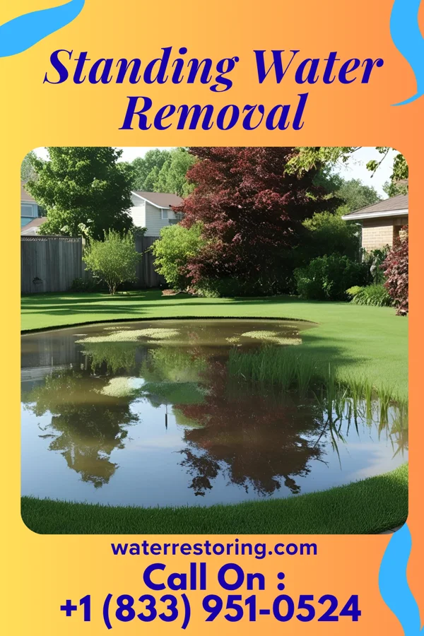 Standing Water Removal in Wormleysburg, PA